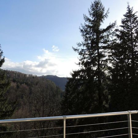 Gite Esperanza Spa Et Sauna Haselbourg Экстерьер фото