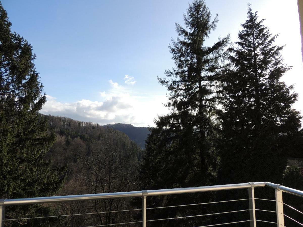 Gite Esperanza Spa Et Sauna Haselbourg Экстерьер фото